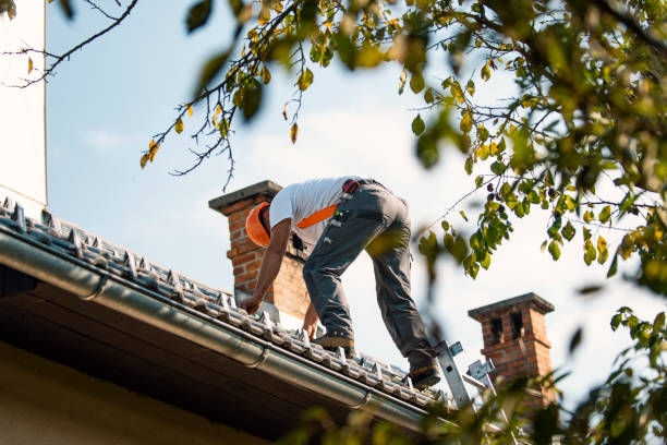 Quick and Trustworthy Emergency Roof Repair Services in Penn Valley, CA